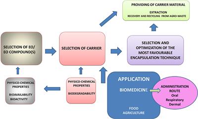 Natural Macromolecules as Carriers for Essential Oils: From Extraction to Biomedical Application